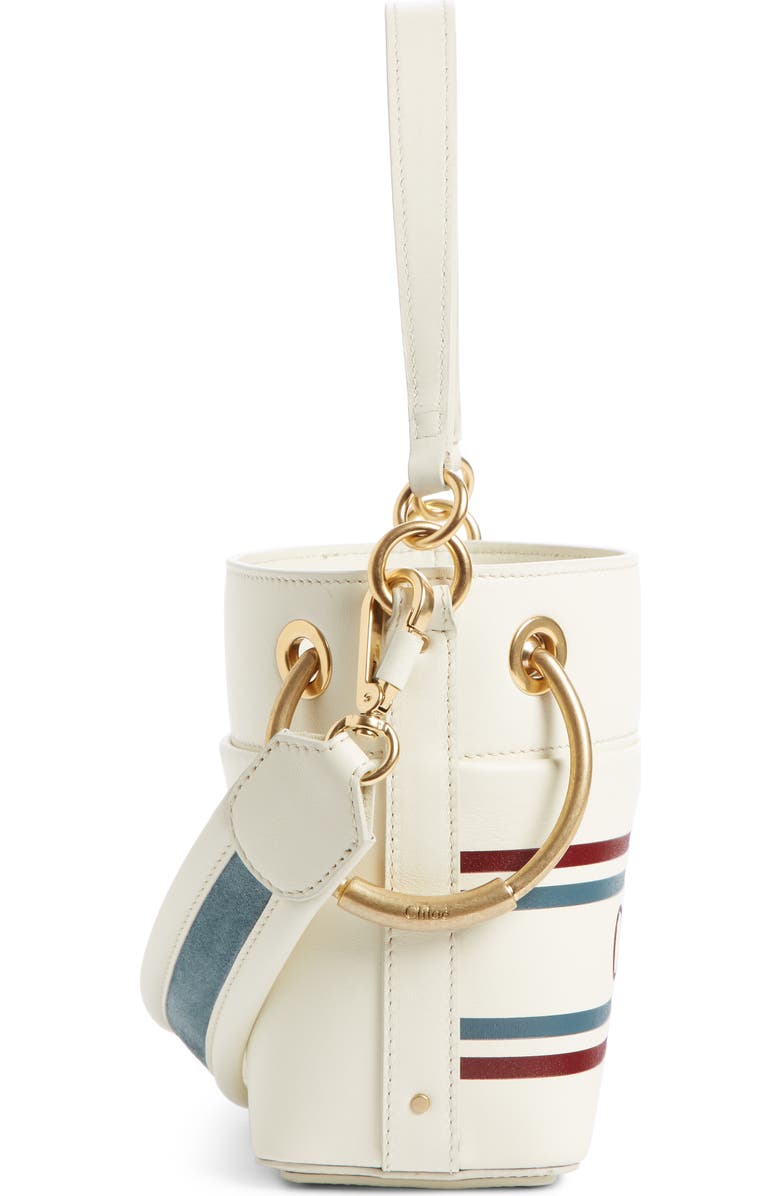 Chloé Small Roy Leather Bucket Bag, Alternate, color,