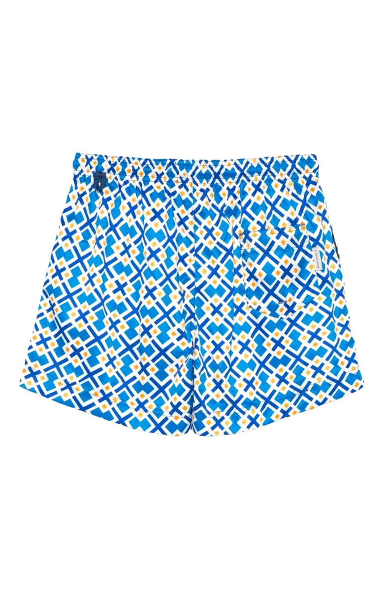Peninsula Swimwear Fontanelle Swim Shorts, Alternate, color, Multicolor