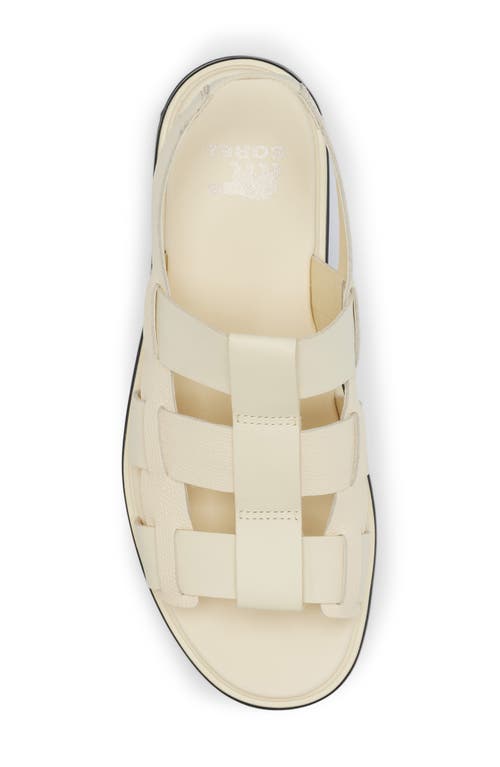 Sorel Dayspring Slingback Platform Sandal In Honey White/black