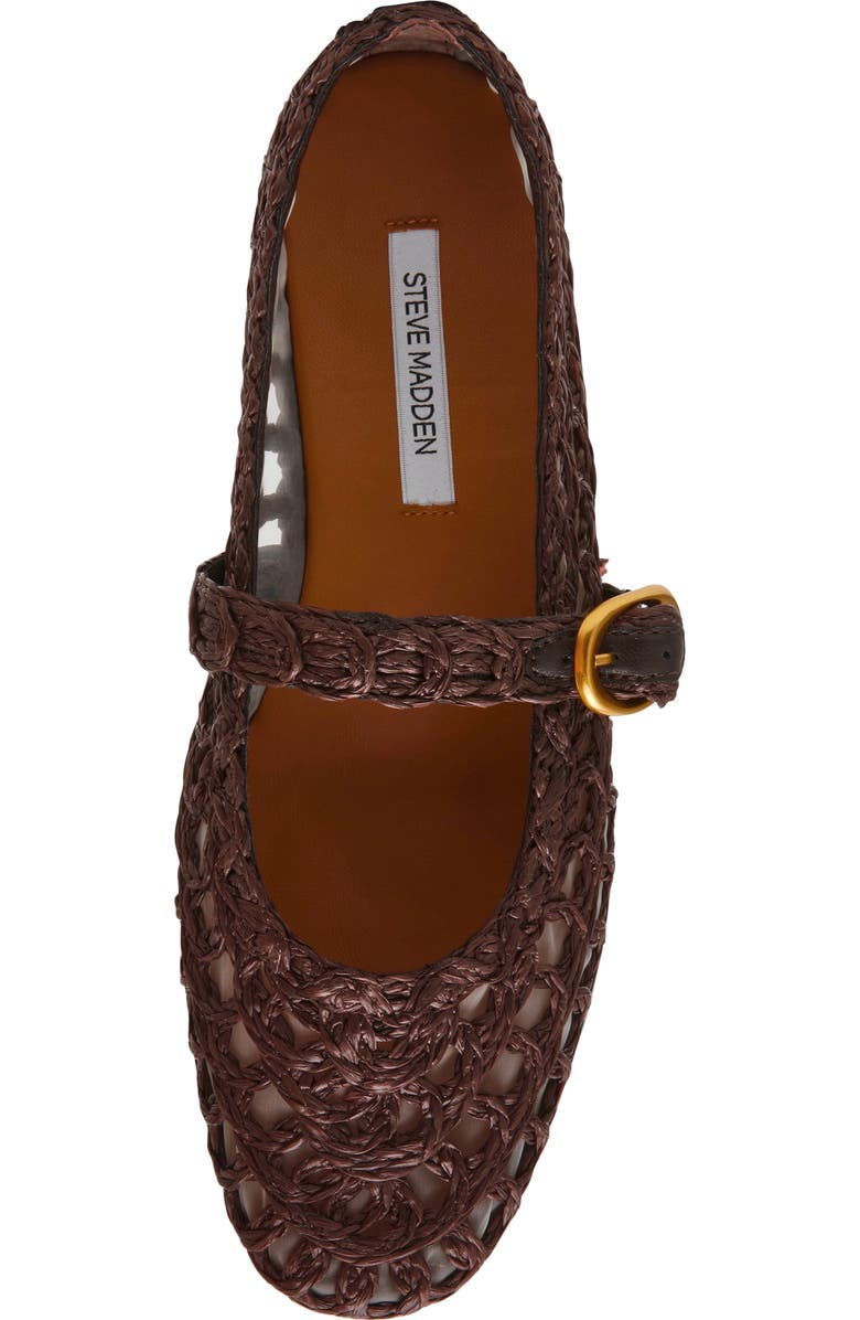 Steve Madden Melody Raffia Mary Jane Flat, Alternate, color, Brown Raffia