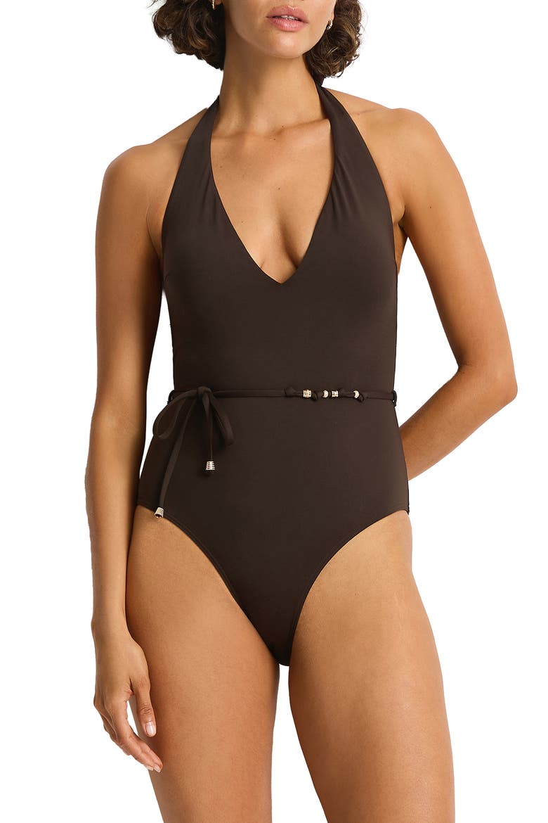 De Luxe V-Neck Halter One-Piece Swimsuit, Main, color, ESPRESSO