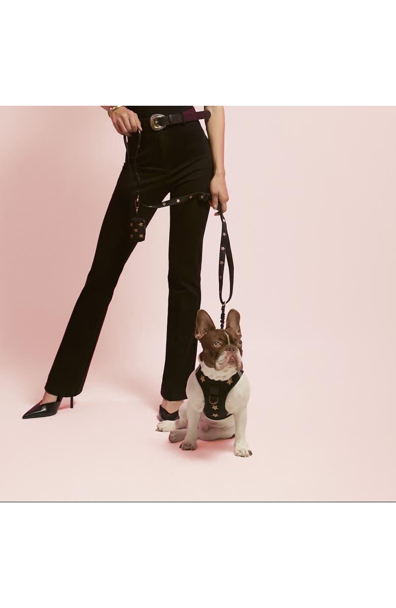 Dogistry Waste Bag Holder, Alternate, color, Rockstar