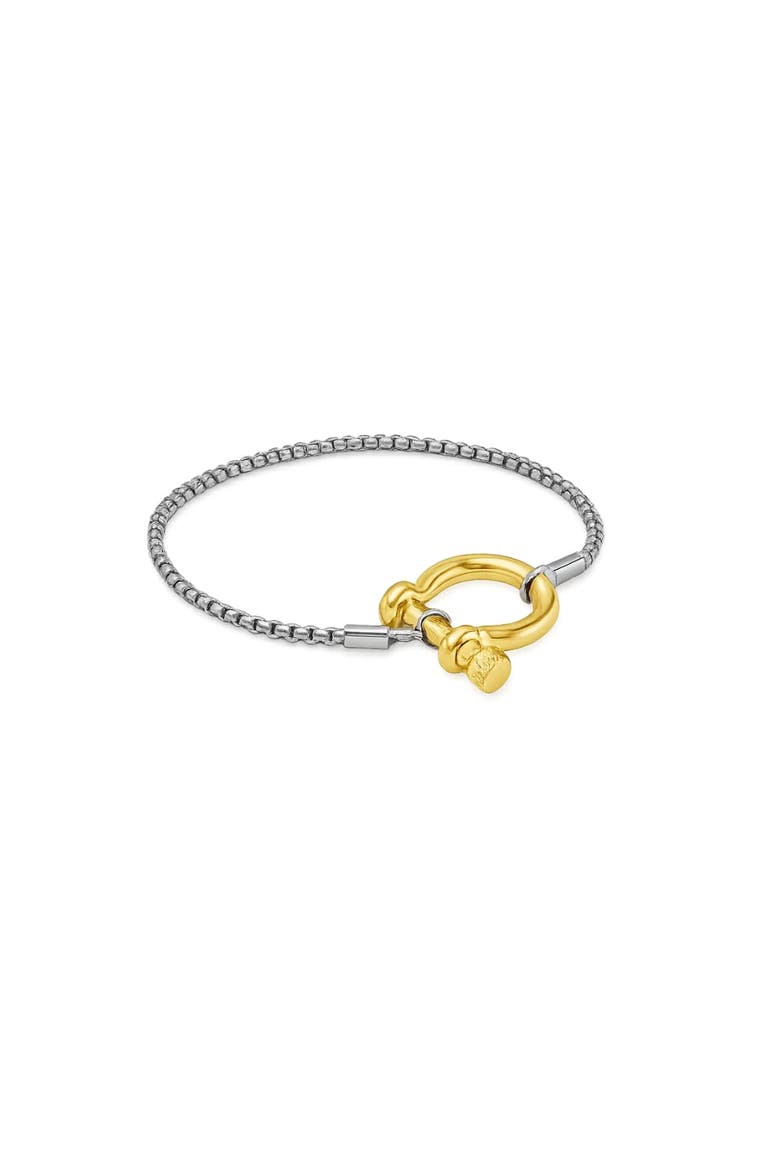 The Lucky Lock Horseshoe Carabiner Clasp Bracelet, Main, color, Silver and Gold
