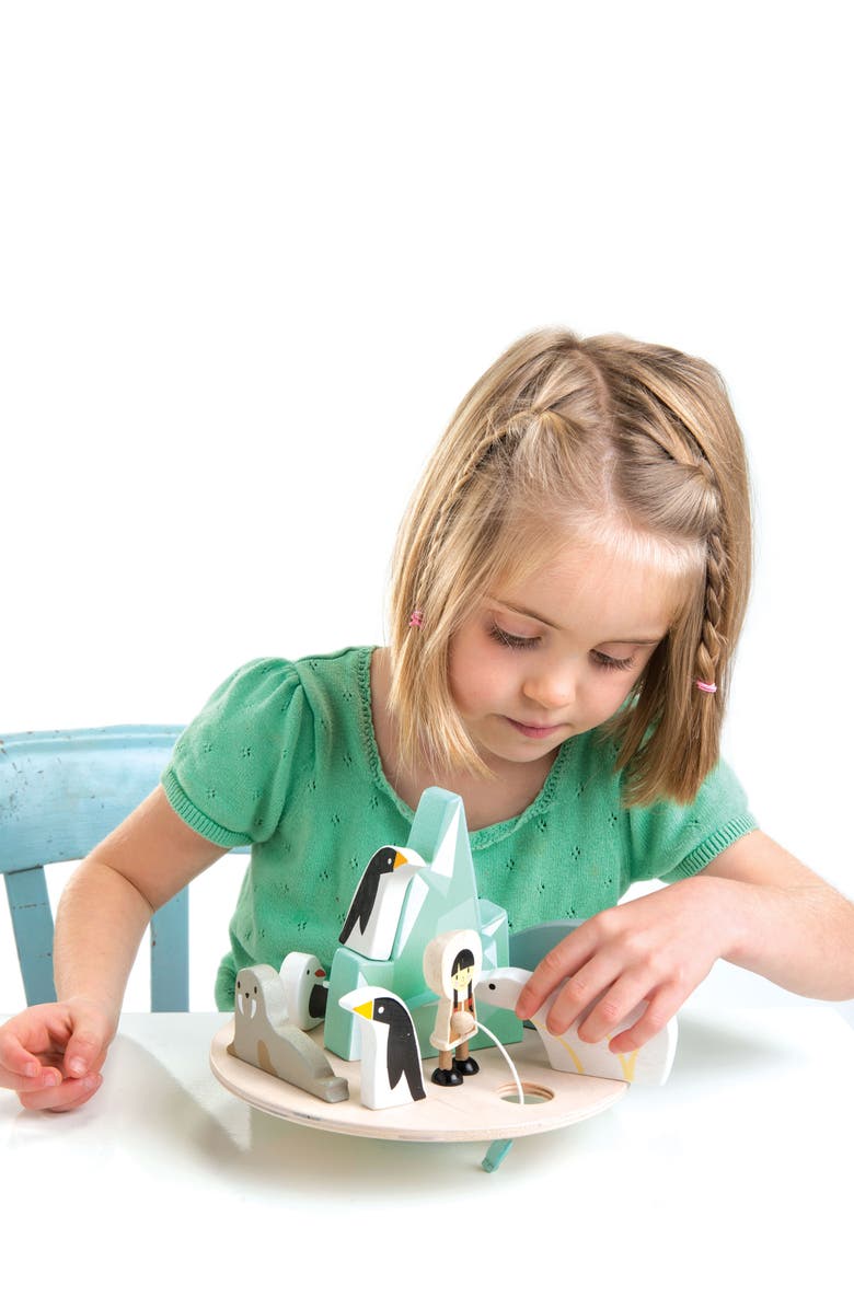 Tender Leaf Toys Arctic Circle Balancing Toy, Alternate, color, Multi