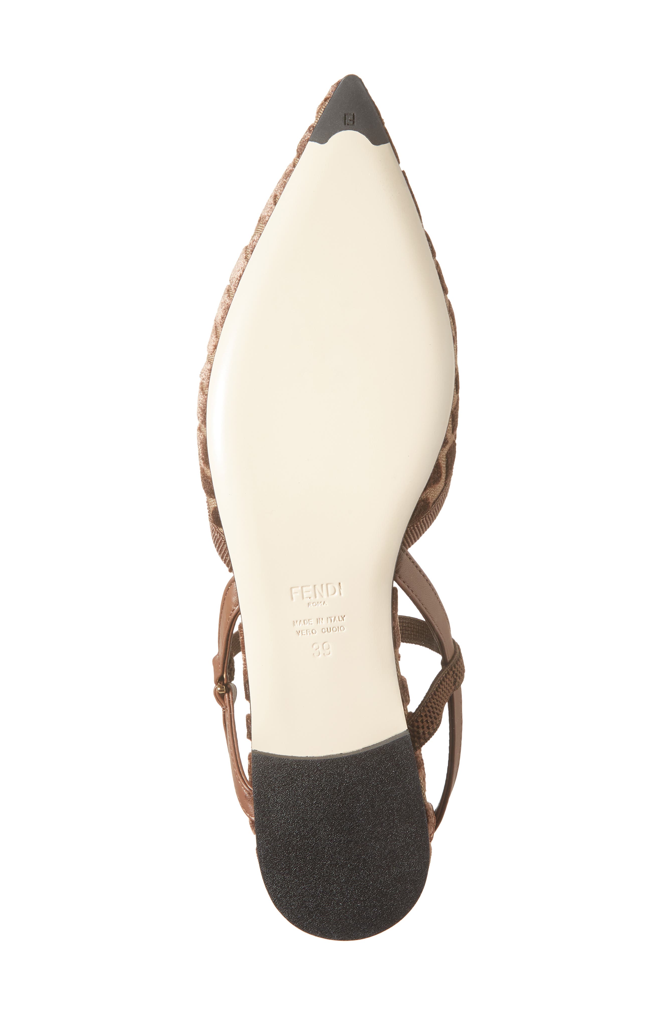 Fendi Colibrì Lite Pointed Toe Slingback Flat, Alternate, color, Brown
