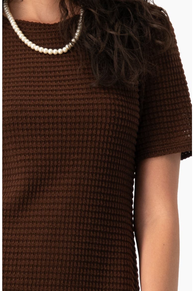 Textured Waffle-Knit Shift Short-Sleeve Mini Dress, Alternate, color, Brown