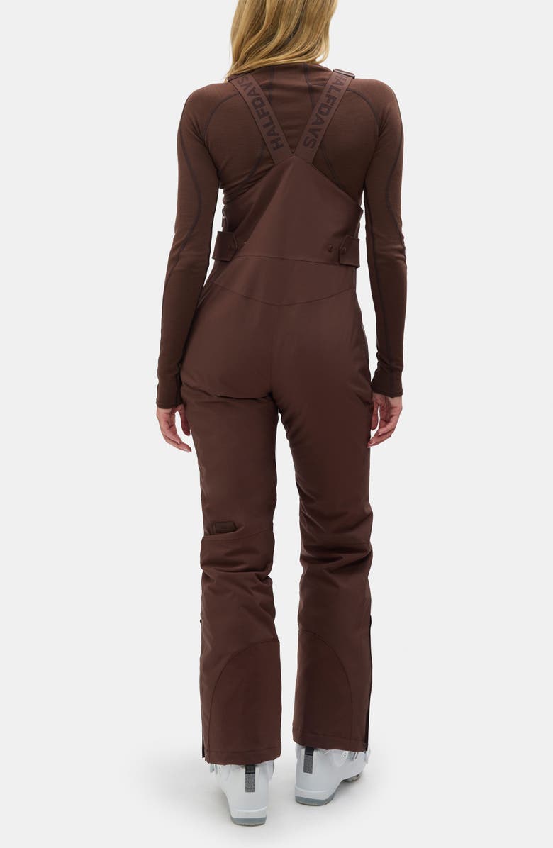 Halfdays Carson Waterproof Snow Bib Overalls, Alternate, color, Spiked Cocoa