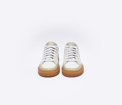 P448 Soho Sneaker In White