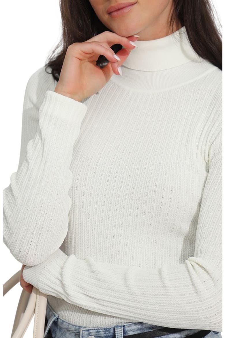 Brooklyn Knitted Turtleneck, Alternate, color, Ivory