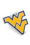 selected West Virginia Flying Wv Logo