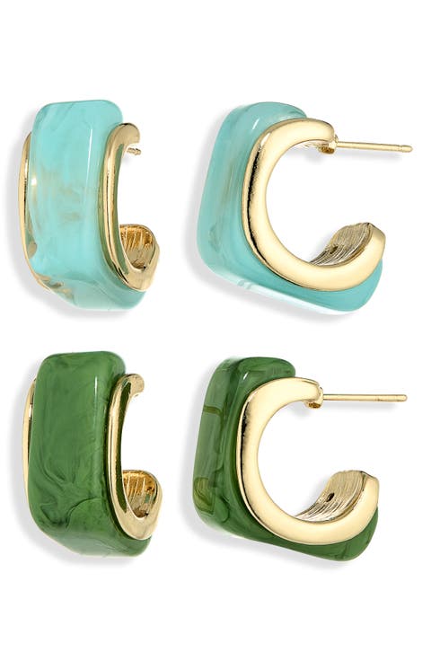 Set of 2 Resin Hoop Earrings