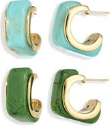 NATASHA Set of 2 Resin Hoop Earrings