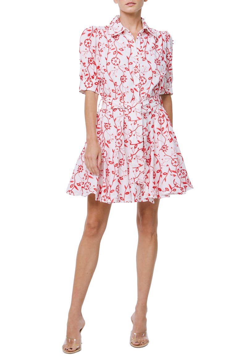 Emilie Embroidered Belted Mini Shirtdress, Main, color, WHITE/ RED