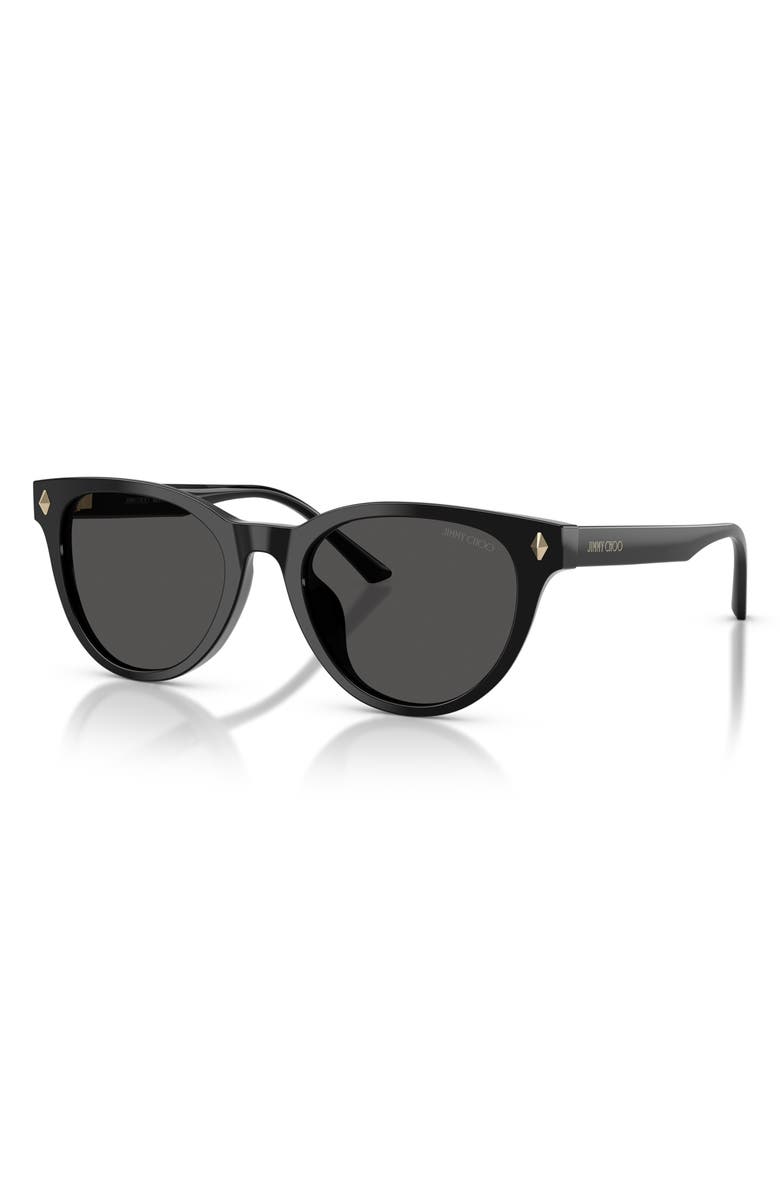 Jimmy Choo Trace 53mm Phantos Sunglasses, Alternate, color, Black / Dark Grey