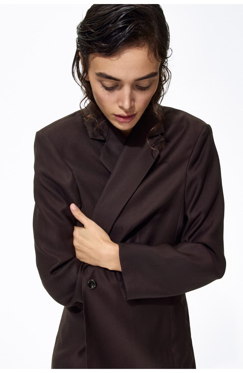 H&M Single-breasted Blazer, Alternate, color, Dark Brown