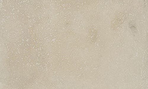Michael Aram Ocean Reef Ice Bucket In Neutral