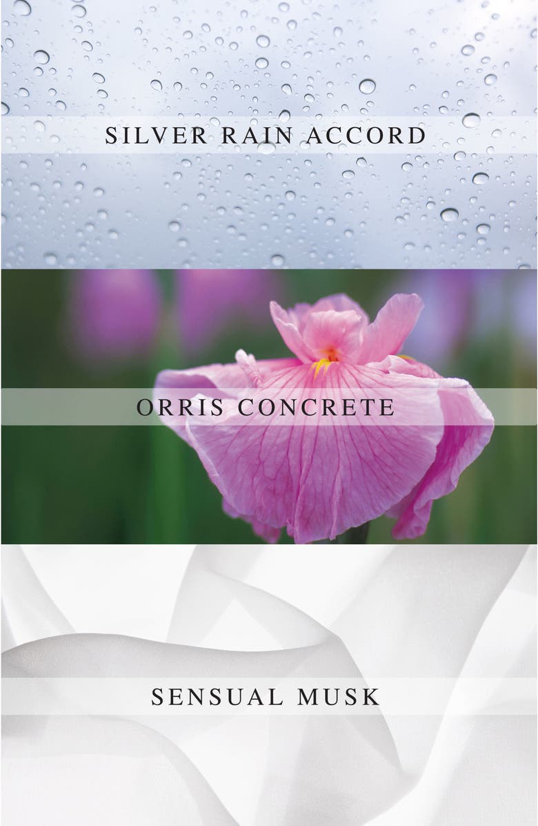 AllSaints Concrete Rain Eau de Parfum, Alternate, color,