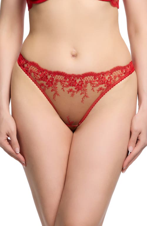Dita Von Teese Lavinia Embroidered Thong In Flame