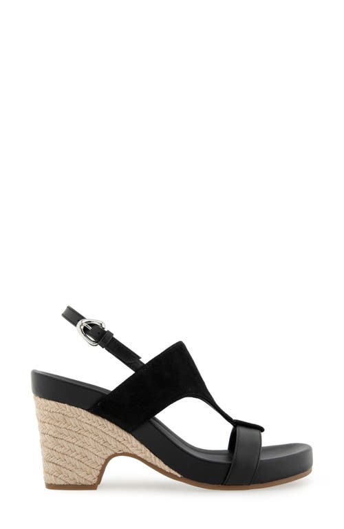 AEROSOLES AEROSOLES MACKENZIE SLINGBACK SANDAL