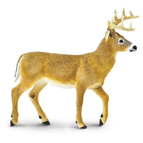 Safari Ltd. Whitetail Buck Toy 