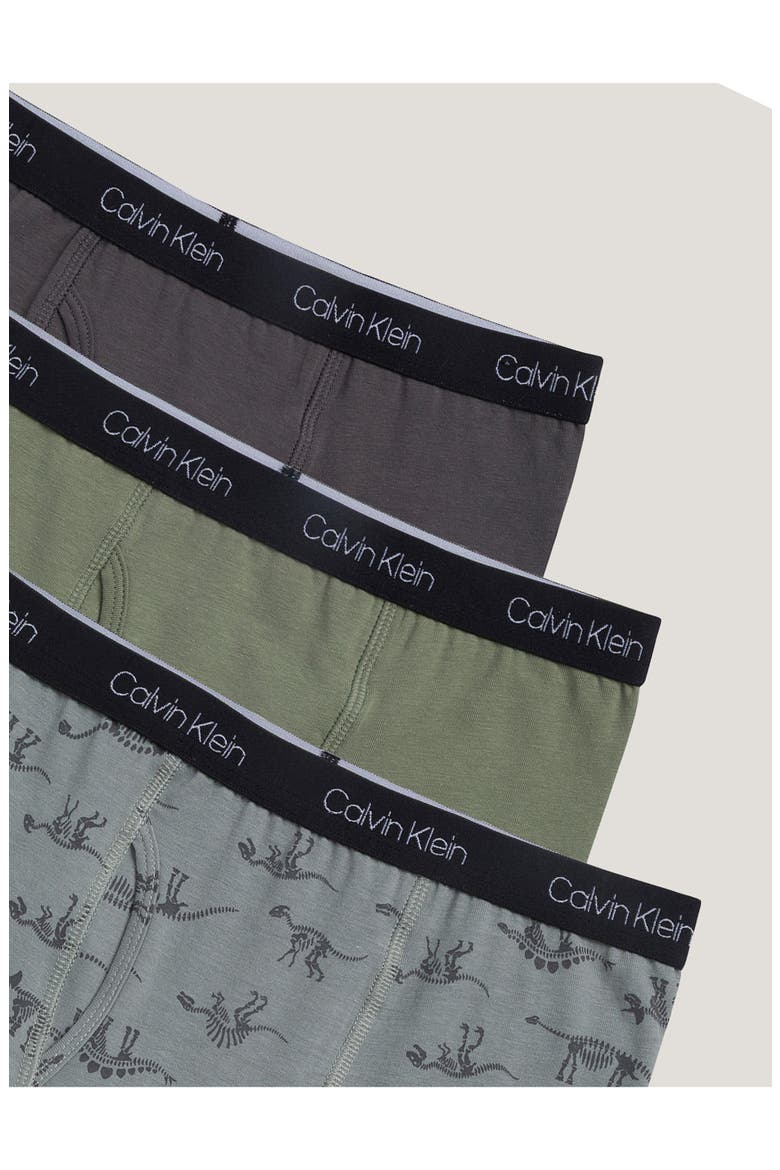 Kids' Pack of Three Boxer Briefs, Alternate, color, GDINO/ SS/ MG