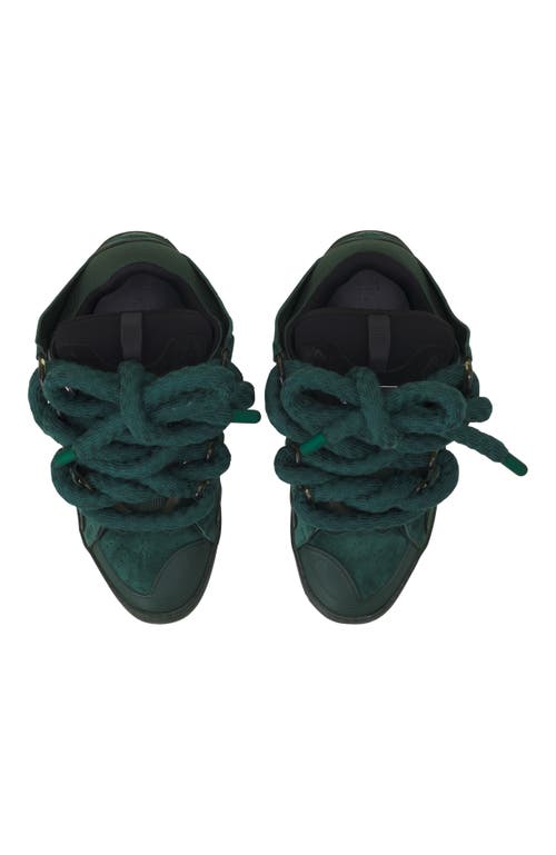 Lanvin Curb Sneakers In Leather With Snake Laces In Green