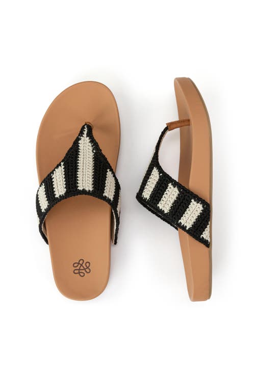 The Sak Everly Sandal In Black Stripe