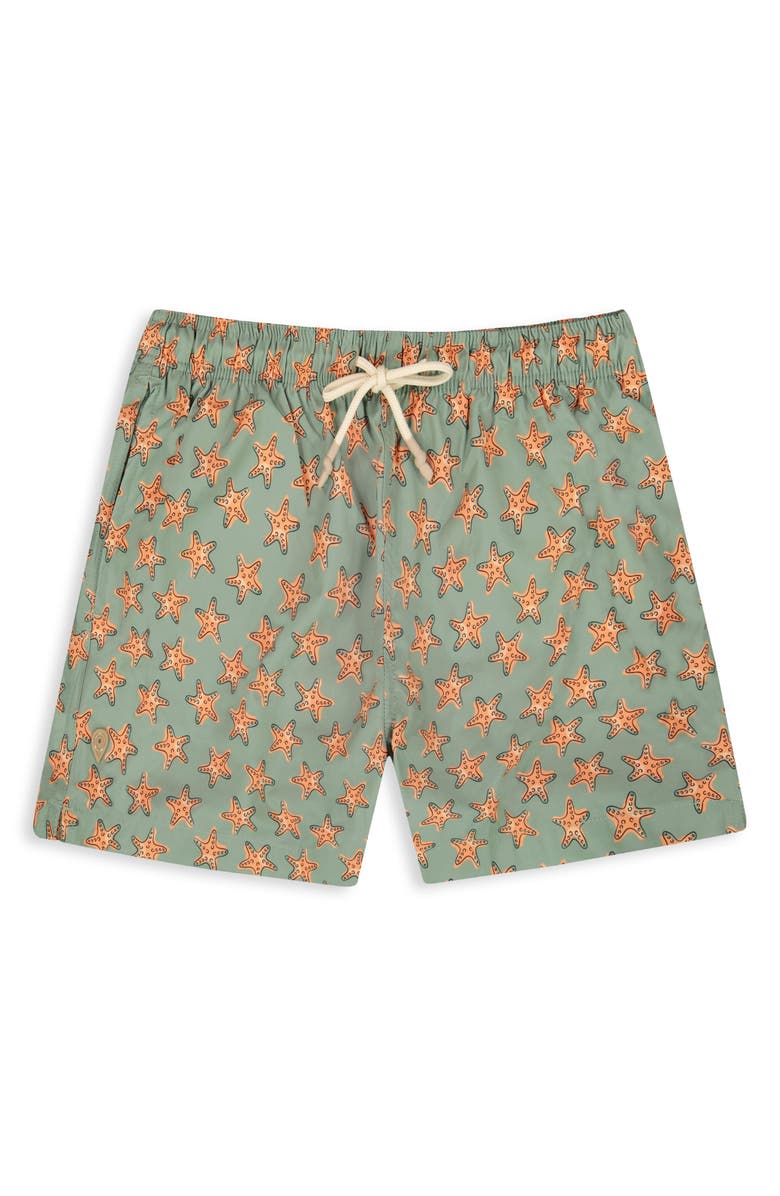 Sunset x Vine Sea Star Print Swim Trunks, Alternate, color, Sage