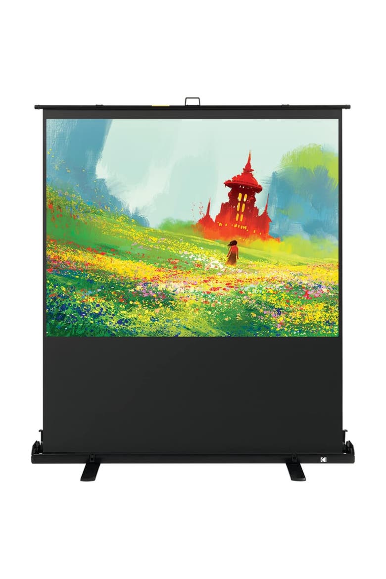 60 Portable Projector Screen, 169 Video Projection Screen & Stand with Carry Handle, Main, color, Black