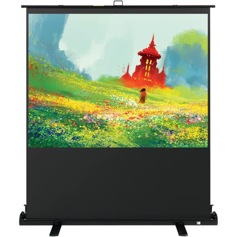 60 Portable Projector Screen, 169 Video Projection Screen & Stand with Carry Handle