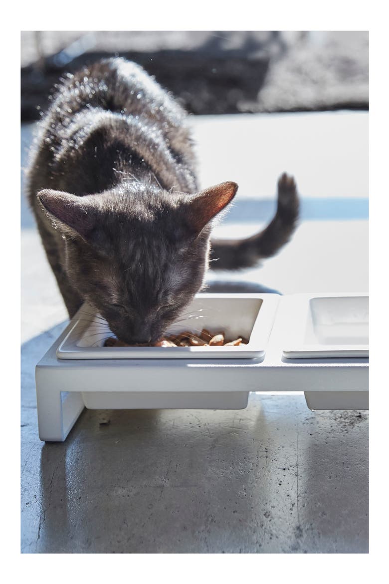 Short Elevated Double Bowl Pet Diner, Alternate, color, WHITE