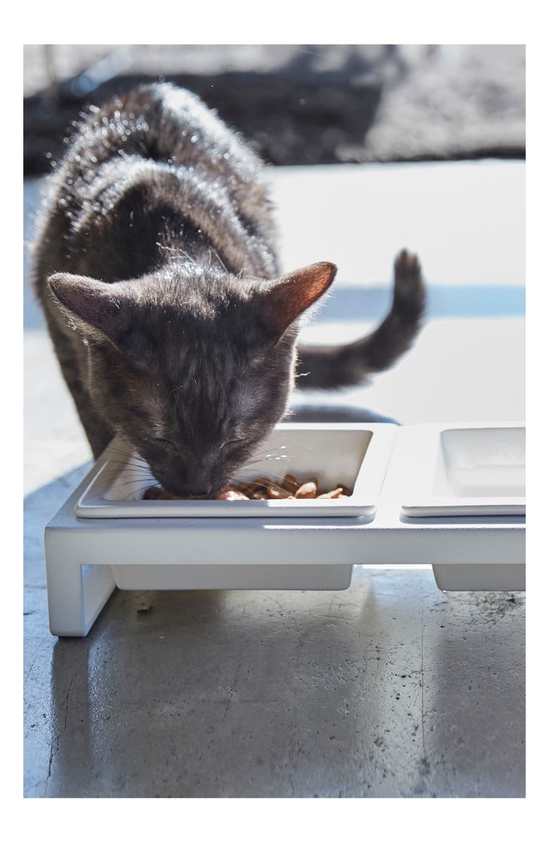 Yamazaki Short Elevated Double Bowl Pet Diner, Alternate, color, 