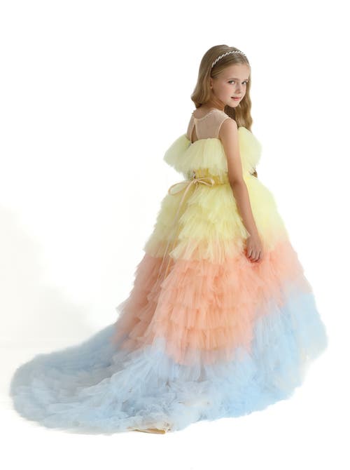 Mimi Tutu Callecita Layered Tulle Gown In Yellow