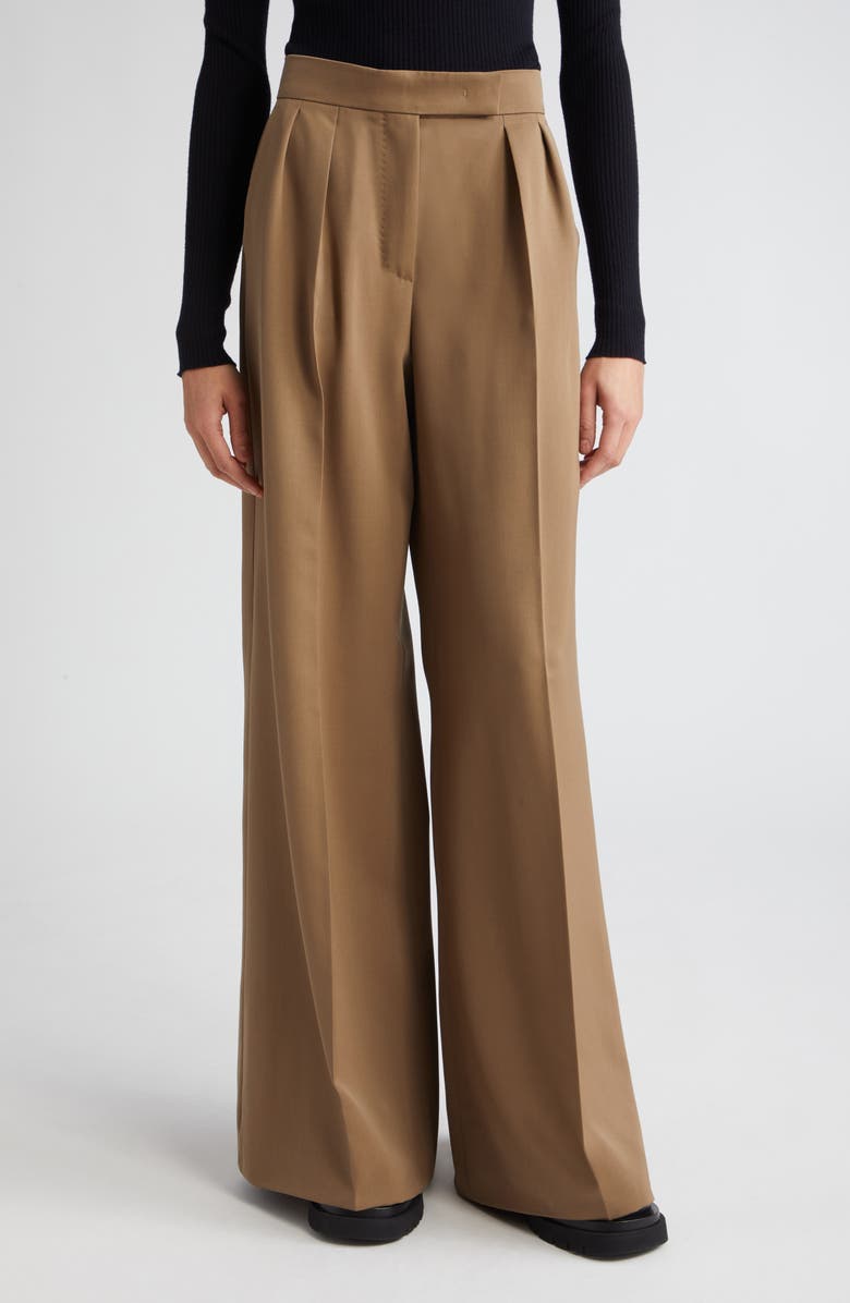 Max Mara Libbra Pleated Wide Leg Virgin Wool & Mohair Pants, Main, color, 