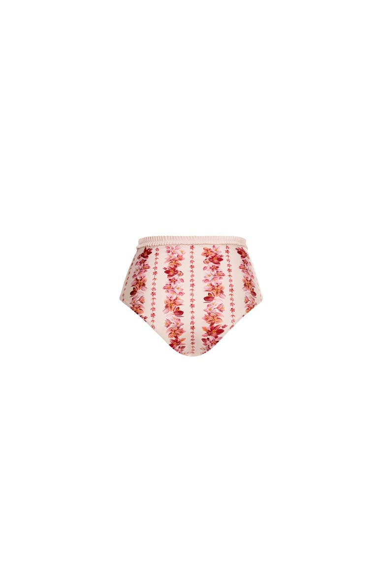 Nopal Cauca Bikini Bottom, Alternate, color, Multicolor