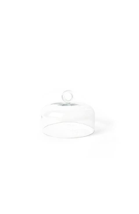 Small Ring Handle Glass Dome