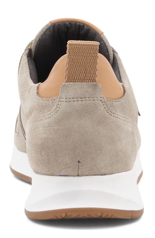 Bruno Magli Capri Sneaker In Grey Suede