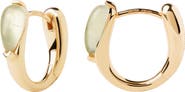 PDPAOLA Isla Hoops