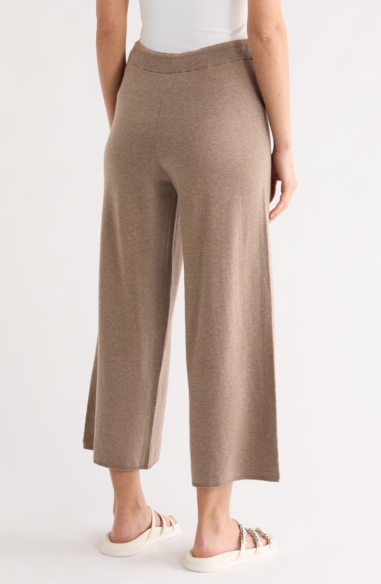 Splendid Polly Sweater Pants, Alternate, color, Pine Bark Brown
