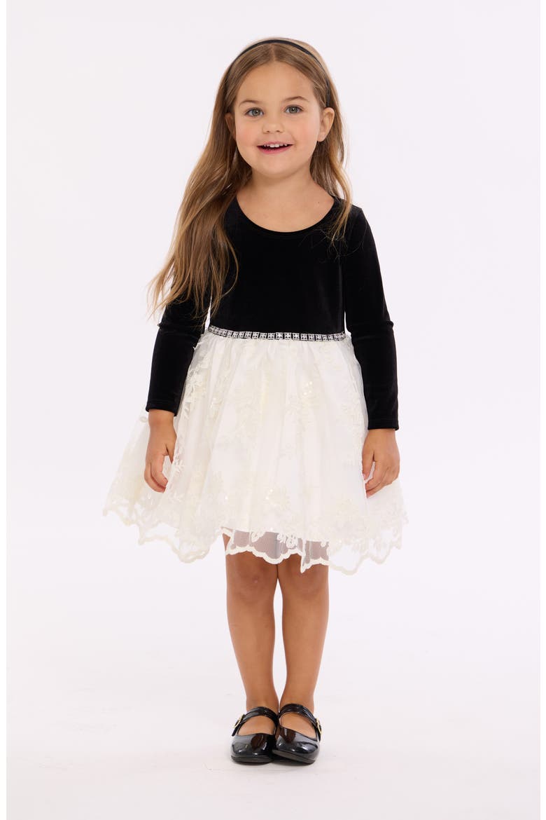 Embroidered Stretch Velvet Embroidered Party Dress, Alternate, color, BLACK