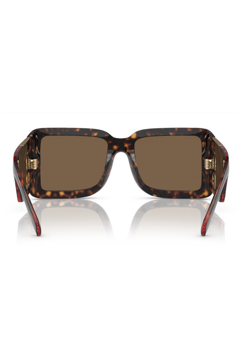 55mm Square Sunglasses, Alternate, color, 30027355 DK HAVANA