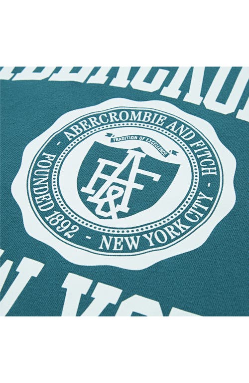 Abercrombie Kids Kids' Ivy League Collegiate T-shirt In Blue
