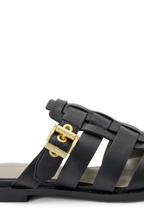 Shop Allsaints Nala Pointed Toe Mule In Black