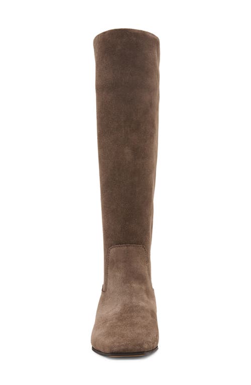 Steve Madden Dantelle Knee High Boot In Brown