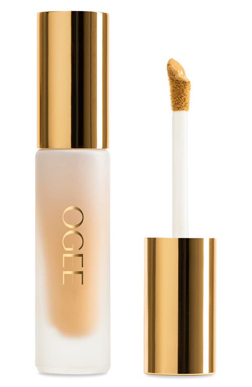 Ogee Complexion Perfecting Concealer