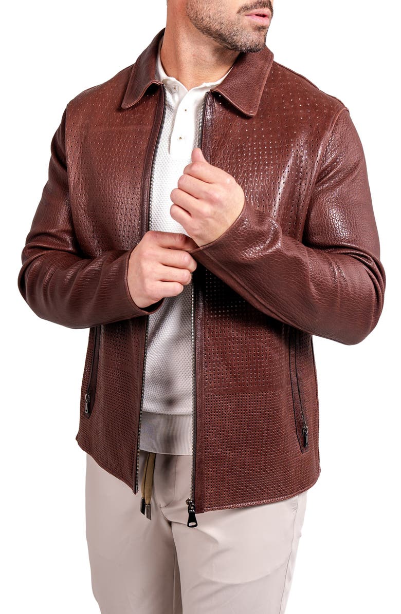 Maceoo Resistance1016 Perforated Leather Jacket, Alternate, color, 