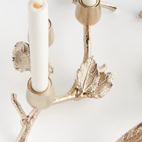 Napa Home & Garden Parna Taper Candle Holders Set Of 6 In Gold