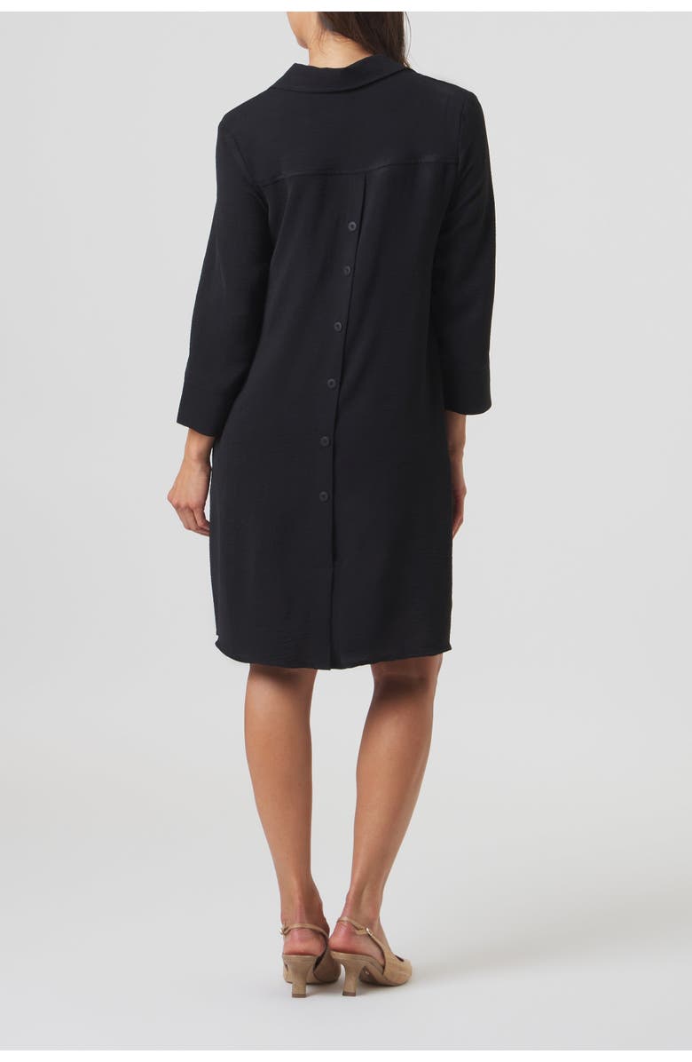 Franne Golde Lido A-Line Shirt Dress with Pockets, Alternate, color, Black