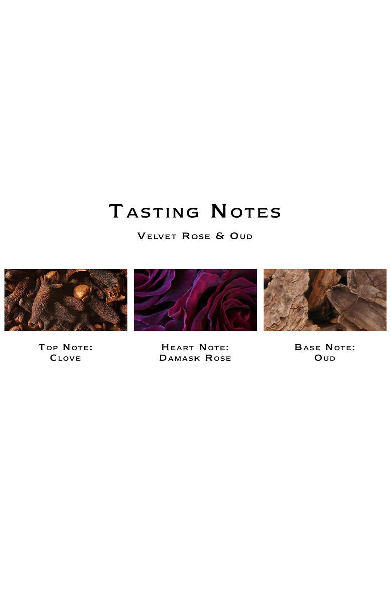 Jo Malone London<sup>™</sup> Velvet Rose & Oud Scent Surround<sup>™</sup> Diffuser, Alternate, color, 