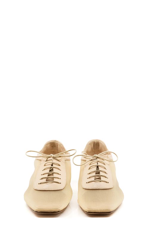 Andrea Gomez Andrea Gomez Antonia Clear Mesh Flat In Beige